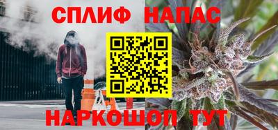 ешки Тара